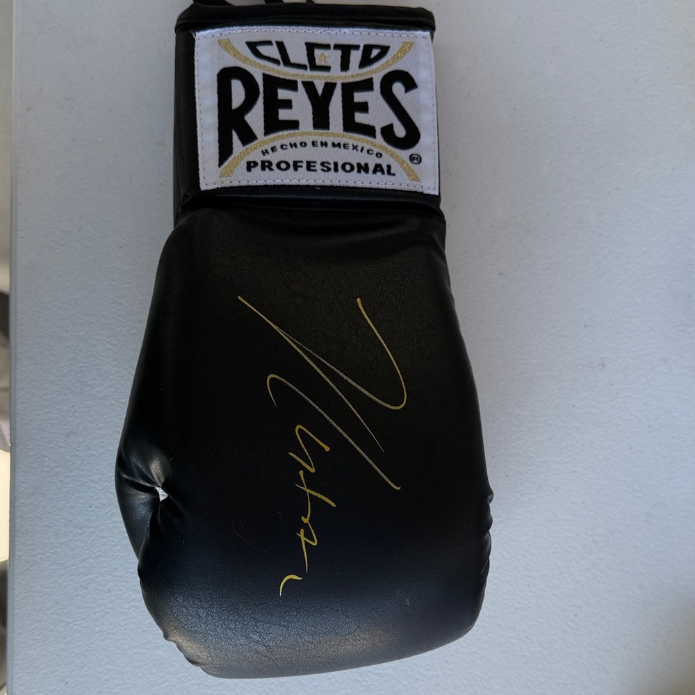 Autograph Black and White Boxing Glove